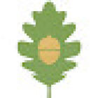 Acorn + Oak Triad Property Management