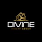Divine Realty Group - 