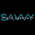 Savvy Realty - Savvy STR Agents