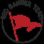 Red Banner Team