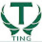 Ting Real Estate Services