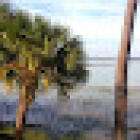ForeShore, LLC