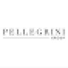 The Pellegrini Group | MCO Realty