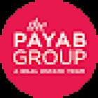 The Payab Group