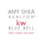 Amy Shea Realtor