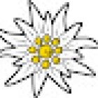 Mischler Immobilien AG