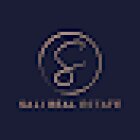 Sali Real Estate GmbH