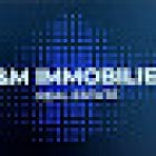 L&M IMMOBILIER Sàrl