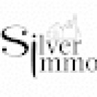 Silver Immobilier Sàrl