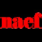 Naef Immobilier Nyon SA