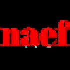 Naef Immobilier Lausanne SA