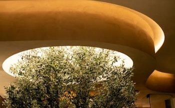 Andrea Diego - Arquitectura de interiores - Interiorismo Bilbao