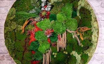 Entre Musgo - Jardines Verticales