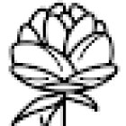 BY JULIA DECORACIÓN