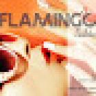 Flamingo Nails Bar