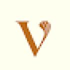 Vènere Studio Vitoria | Pestañas y Cejas en Gasteiz