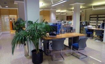 Random Way Marketing