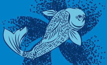 Ilustrador Gran Mike estudio creativo | Diseñador gráfico