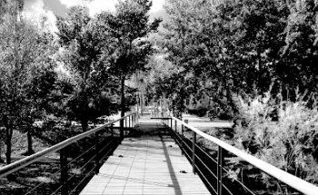 Infinita Brand Analyst