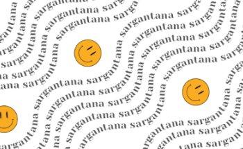 Sargantana Digital | Agencia de Marketing Digital en Ibiza | Cursos y talleres presenciales