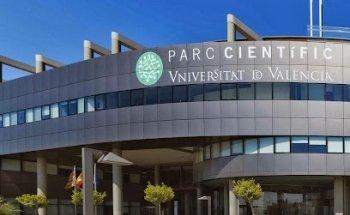 Listenic, Online Insights