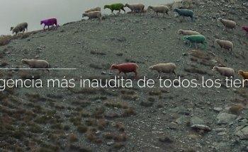 James Brand Co - Agencia Creativa