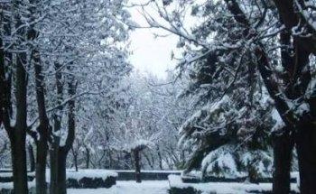 Agencia de Posicionamiento Web