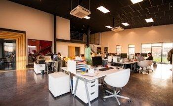 Tibi Marketing Agency