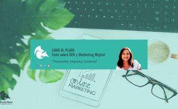 Lidia M. Plata SEO y Marketing Digital