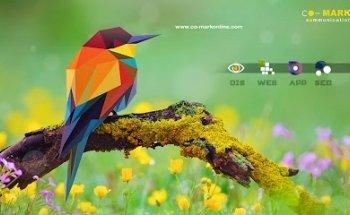 Co-Mark Communication