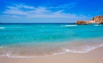 DigiMinds Media Agency