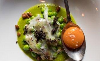 Proteína Creativa - Consultora de Marketing Digital Gastronómico