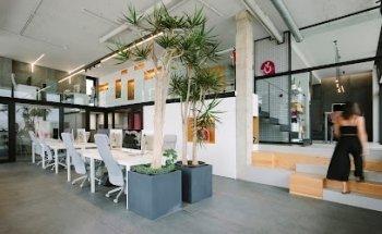 Cúrcuma Agencia Creativa