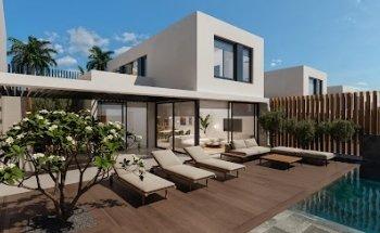 The Dreamlike Company