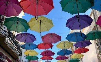 LifeStyleProfesional