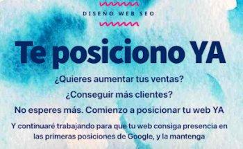 TePosicionoYA - Diseño web SEO