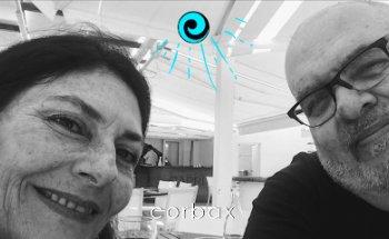 CORBAX Diseño Web y SEO