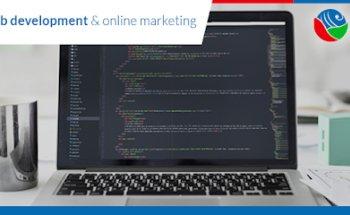 Professional Web Development & Online Marketing