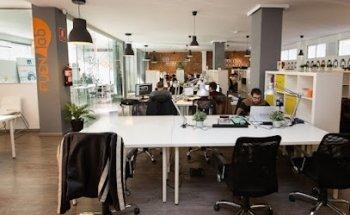 SinergiaSEO | Agencia SEO de Marketing Digital