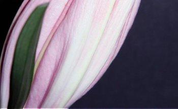 Estudio Fotografico Mediterraneo