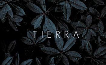 Tierra Marketing Sostenible