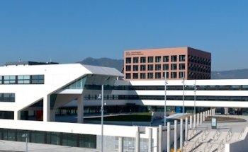 PixUP Web Business, desarrollo WEB y ecommerce, posicionamiento SEO y SEM, Barcelona y Mataró