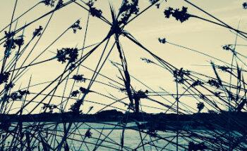 SILENCE COMUNICACION