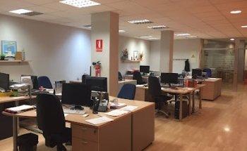 Avellana Digital - Disseny web