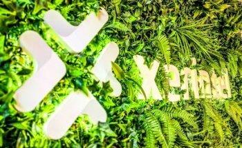 Xerintel Internet Technologies SL