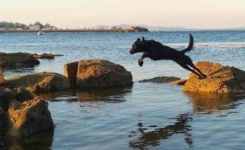 subSI.DE - International Online Business Development