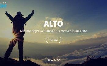 Profesionalesweb.com