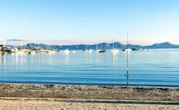 Nuevaconexion Marketing Online