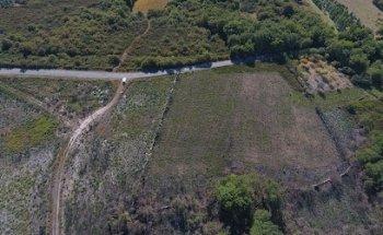 ALAVEO Drone y Marketing