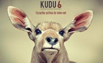 Analítica web - Marketing Online - Kudu6